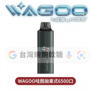 主圖 - WAGOO哇酷 - 拋棄式6500口 【買十送一】WAGOO哇酷拋棄式6500口